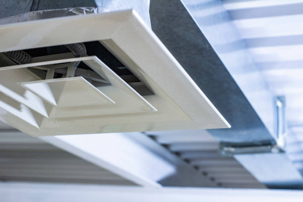 Best Ductwork Cleaning Services  in Niles, OH