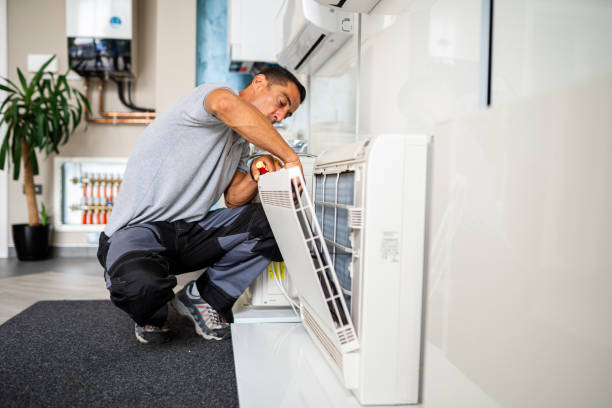 Best Home Air Vent Cleaning  in Niles, OH
