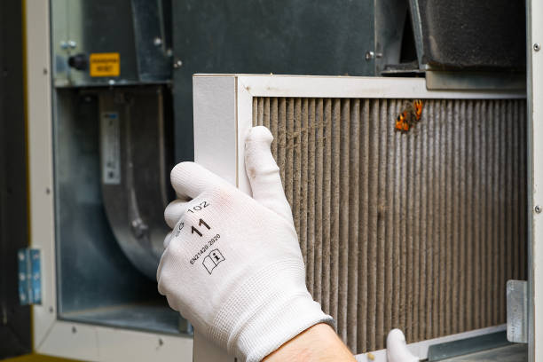 Best Ventilation Cleaning Services  in Niles, OH