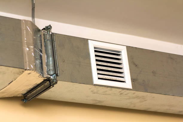 Best Air Duct Mold Removal  in Niles, OH